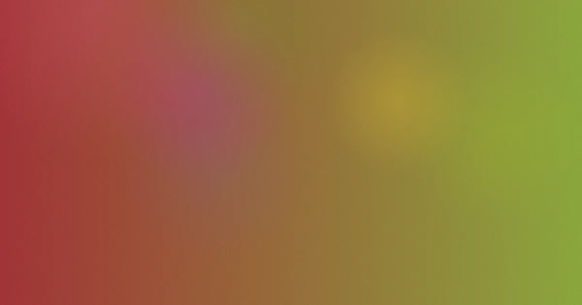 后来的我们避坑指南